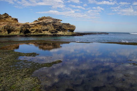Private Tours From Melbourne - Tourism TAS 2