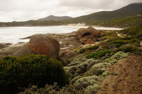 Private Tours From Melbourne - Tourism TAS 8