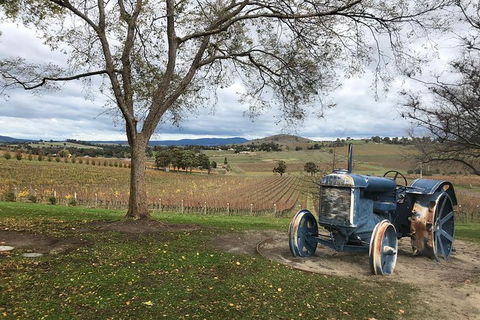 Private Tours From Melbourne - Tourism TAS 24