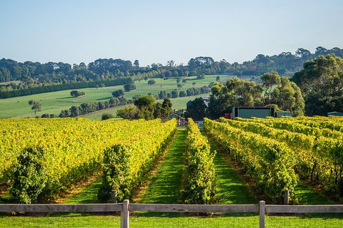 Private Tours From Melbourne - Tourism TAS 12