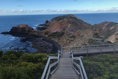 Private Tours From Melbourne - Tourism TAS 19