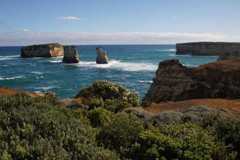 Private Tours From Melbourne - Tourism TAS 21