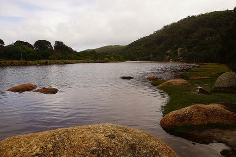 Private Tours From Melbourne - Tourism TAS 9