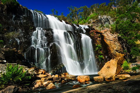 Private Tours From Melbourne - Tourism TAS 22