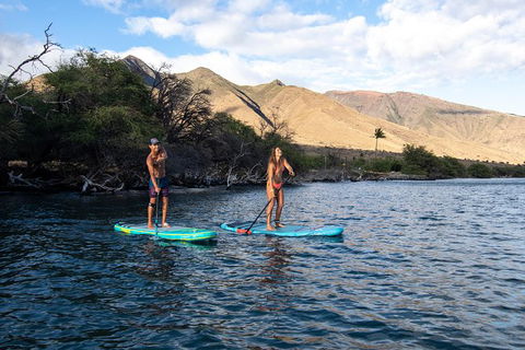 Stand Up Paddle Boarding Hire - Tourism TAS 2