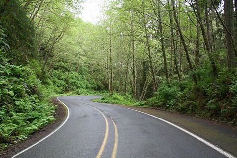 Cruise Ship Shore Excursion - Private Great Ocean Road Full Day Tour (12 Hour) - Hobart Tourism 1