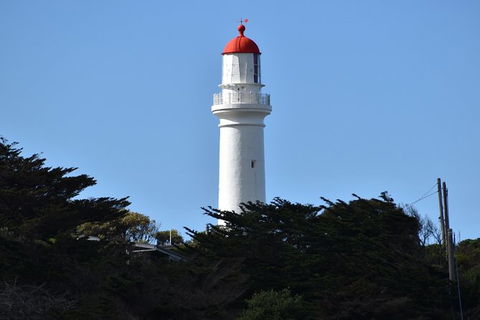 Great Ocean Road Tour Plus Koalas, Forest Walk And Morning Tea. - Tourism TAS 1