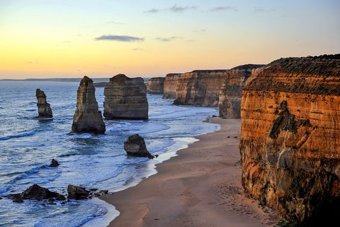 Great Ocean Road Tour Plus Koalas, Forest Walk And Morning Tea. - Tourism TAS 0