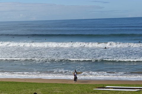 Great Ocean Road Tour Plus Koalas, Forest Walk And Morning Tea. - Tourism TAS 9