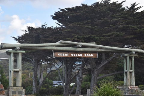 Great Ocean Road Tour Plus Koalas, Forest Walk And Morning Tea. - Tourism TAS 7
