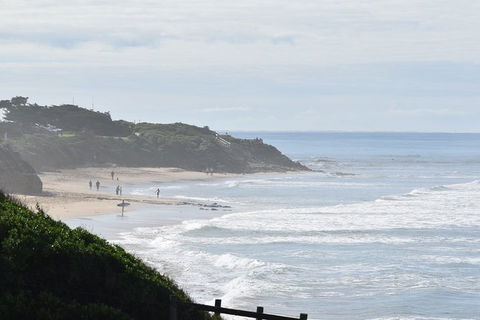 Great Ocean Road Tour Plus Koalas, Forest Walk And Morning Tea. - Tourism TAS 10