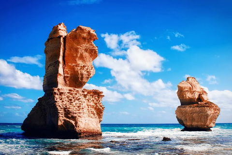 Great Ocean Road Tour Plus Koalas, Forest Walk And Morning Tea. - Tourism TAS 11