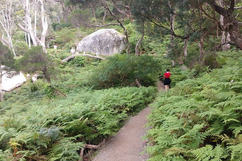 Wilsons Promontory Brainstorming Escape - Tourism TAS 2