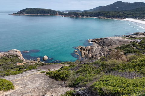 Wilsons Promontory Brainstorming Escape - Tourism TAS 4
