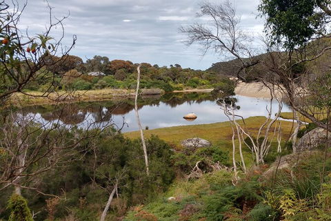 Wilsons Promontory Brainstorming Escape - Tourism TAS 9