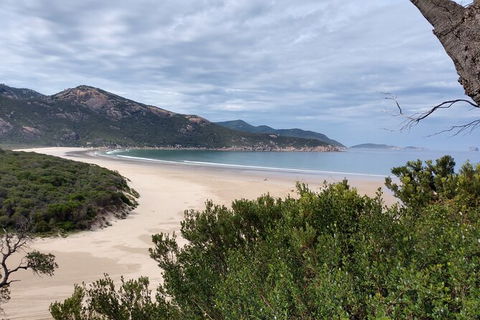 Wilsons Promontory Brainstorming Escape - Tourism TAS 1