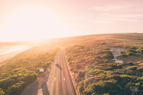 LGBT+ Friendly 2 Day Private Great Ocean Road Tour - Tourism TAS 1