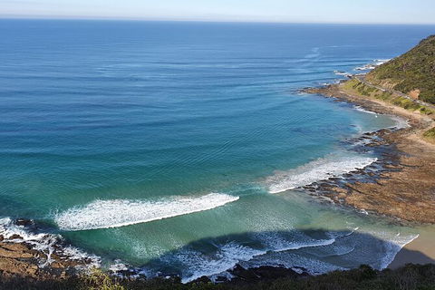 Private Great Ocean Road And Chocolaterie Tour With Tasting - Tourism TAS 7