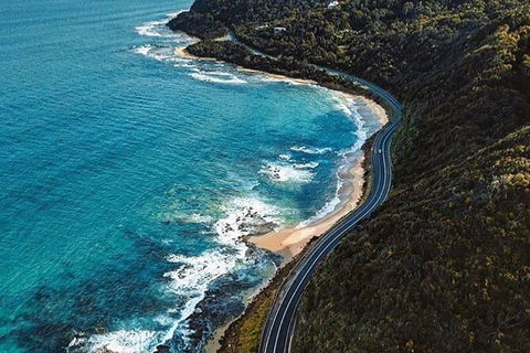 Private Great Ocean Road And Chocolaterie Tour With Tasting - Tourism TAS 6