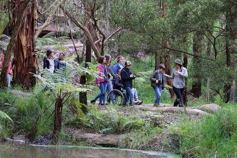 Walk With Wildlife: Guided Tour In Great Ocean Road - Hobart Tourism 4