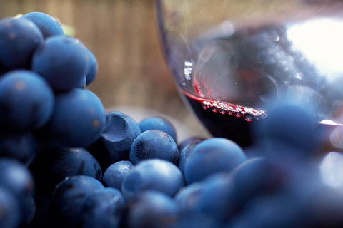 Mornington Peninsula 2-6 Guests Lunch Rare Hare Or Merricks General Wine Store - Tourism TAS 7