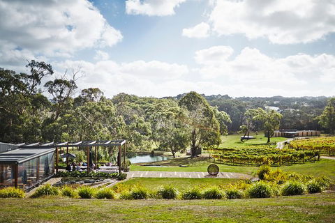Mornington Peninsula 2-6 Guests Lunch Rare Hare Or Merricks General Wine Store - Tourism TAS 3
