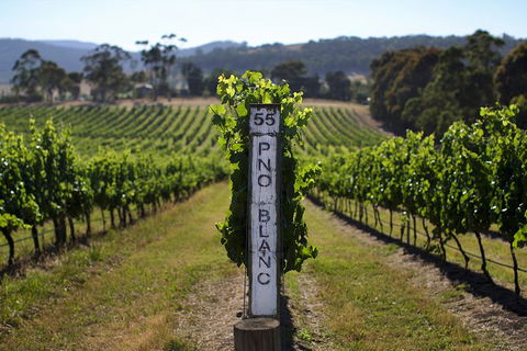 Mornington Peninsula 2-6 Guests Lunch Rare Hare Or Merricks General Wine Store - Tourism TAS 5