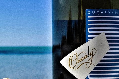 Mornington Peninsula 2-6 Guests Lunch And Inc Wine Tasting At Quealy Winemakers - Tourism TAS 0