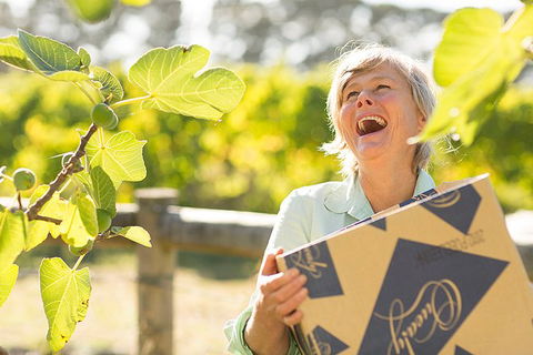 Mornington Peninsula 2-6 Guests Lunch And Inc Wine Tasting At Quealy Winemakers - Tourism TAS 4
