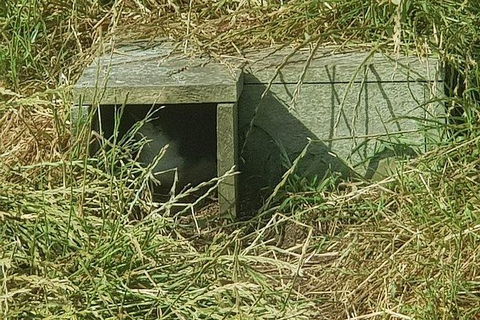 Phillip Island Penguin And Wildlife Tour - Hobart Tourism 11