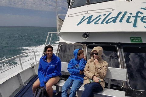 Phillip Island Penguin And Wildlife Tour - Hobart Tourism 15