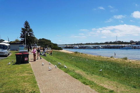 Phillip Island Penguin And Wildlife Tour - Hobart Tourism 25