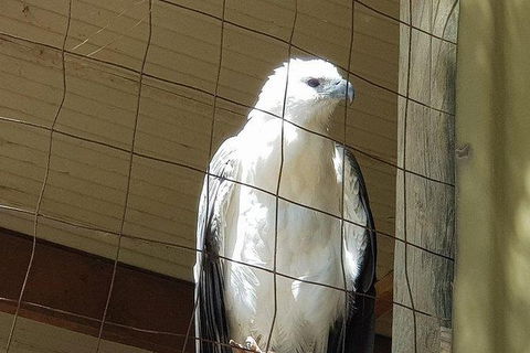 Phillip Island Penguin And Wildlife Tour - Hobart Tourism 21