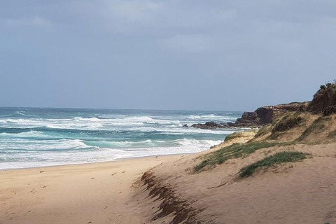 Phillip Island Penguin And Wildlife Tour - Hobart Tourism 10