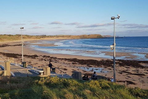 Phillip Island Penguin And Wildlife Tour - Hobart Tourism 8