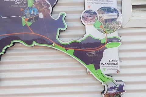 Phillip Island Penguin And Wildlife Tour - Hobart Tourism 29