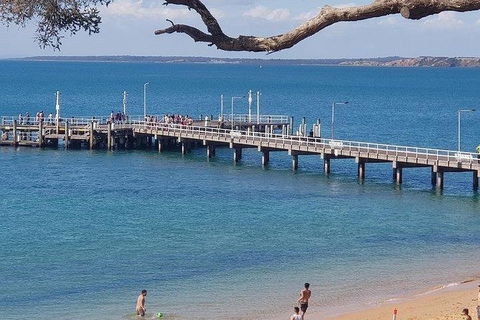 Phillip Island Penguin And Wildlife Tour - Hobart Tourism 2