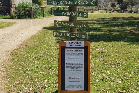 Phillip Island Penguin And Wildlife Tour - Hobart Tourism 4