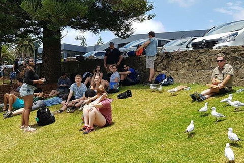 Phillip Island Penguin And Wildlife Tour - Hobart Tourism 22