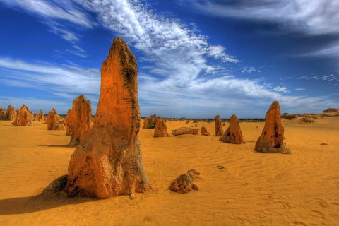 Pinnacles Desert, New Norcia And Wildflowers Day Tour From Perth - Tourism TAS 4