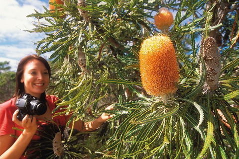 Best Of Perth Wildflower Season Day Trip - Hobart Tourism 0