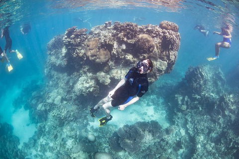 Coral Bay 2-Hour Coral Viewing And Snorkeling - Hobart Tourism 3