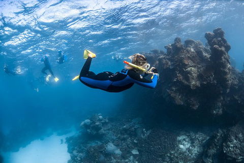 Ningaloo Adventure And Manta Ray Tour - Hobart Tourism 6