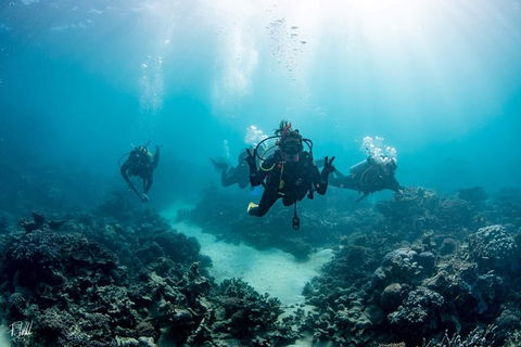 Ningaloo Adventure And Manta Ray Tour - Hobart Tourism 4