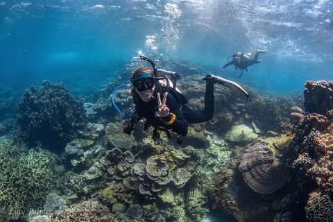 Ningaloo Adventure And Manta Ray Tour - Hobart Tourism 0