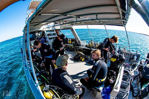 Ningaloo Adventure And Manta Ray Tour - Hobart Tourism 8