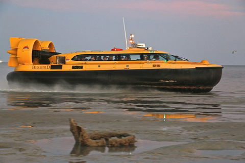Prehistoric Bubbles And Nibbles Hovercraft Tour - Hobart Tourism 4