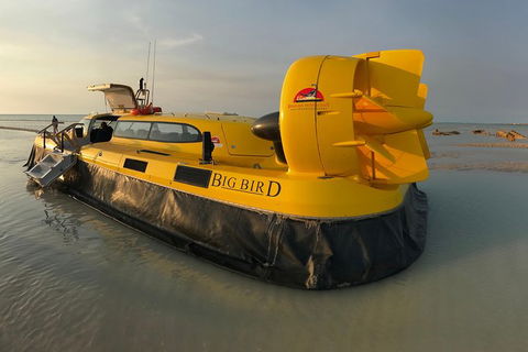 Prehistoric Bubbles And Nibbles Hovercraft Tour - Hobart Tourism 0