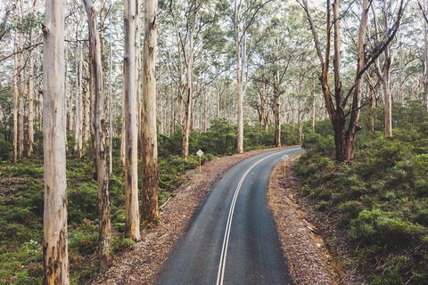 All Inclusive Surf Camp In Margaret River Region - Tourism TAS 2