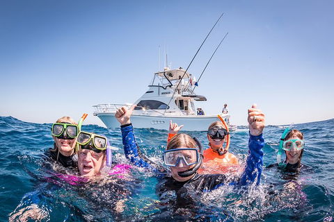 Life On Ningaloo Swimming Tour In Exmouth - Tourism TAS 4